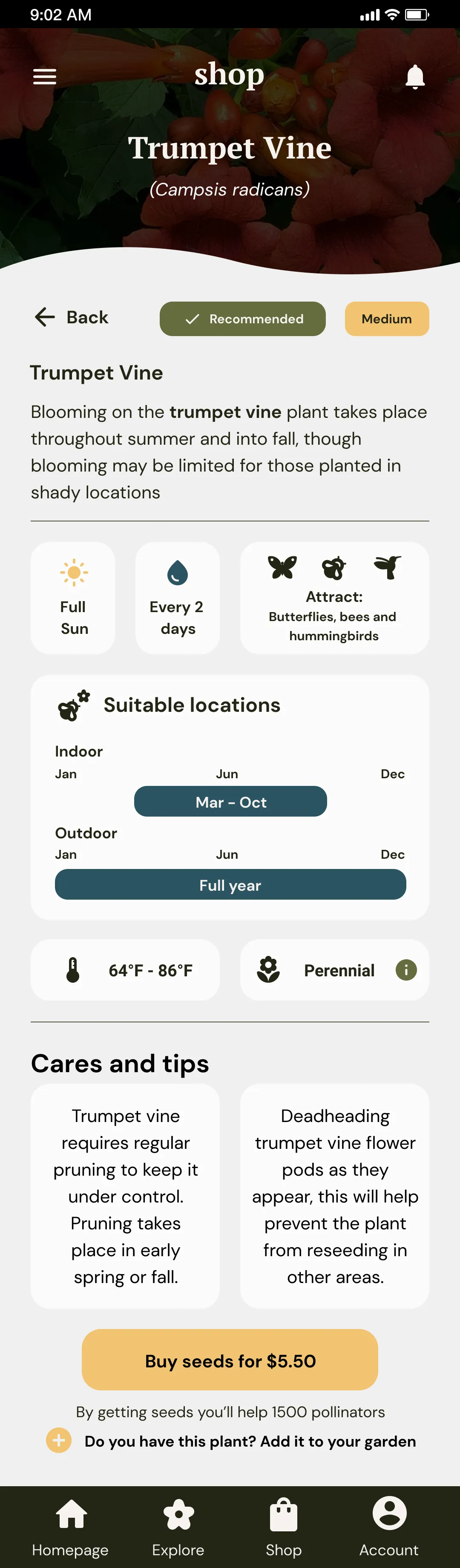 Sweet Garden Plant information screen mobile